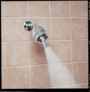 Installing a low-flow showerhead is one of the best ways to reduce water consumption, and some models also eliminate chlorine. The High Output Shower Filter from Real Goods is $50. (800) 762-7325, realgoods.com.